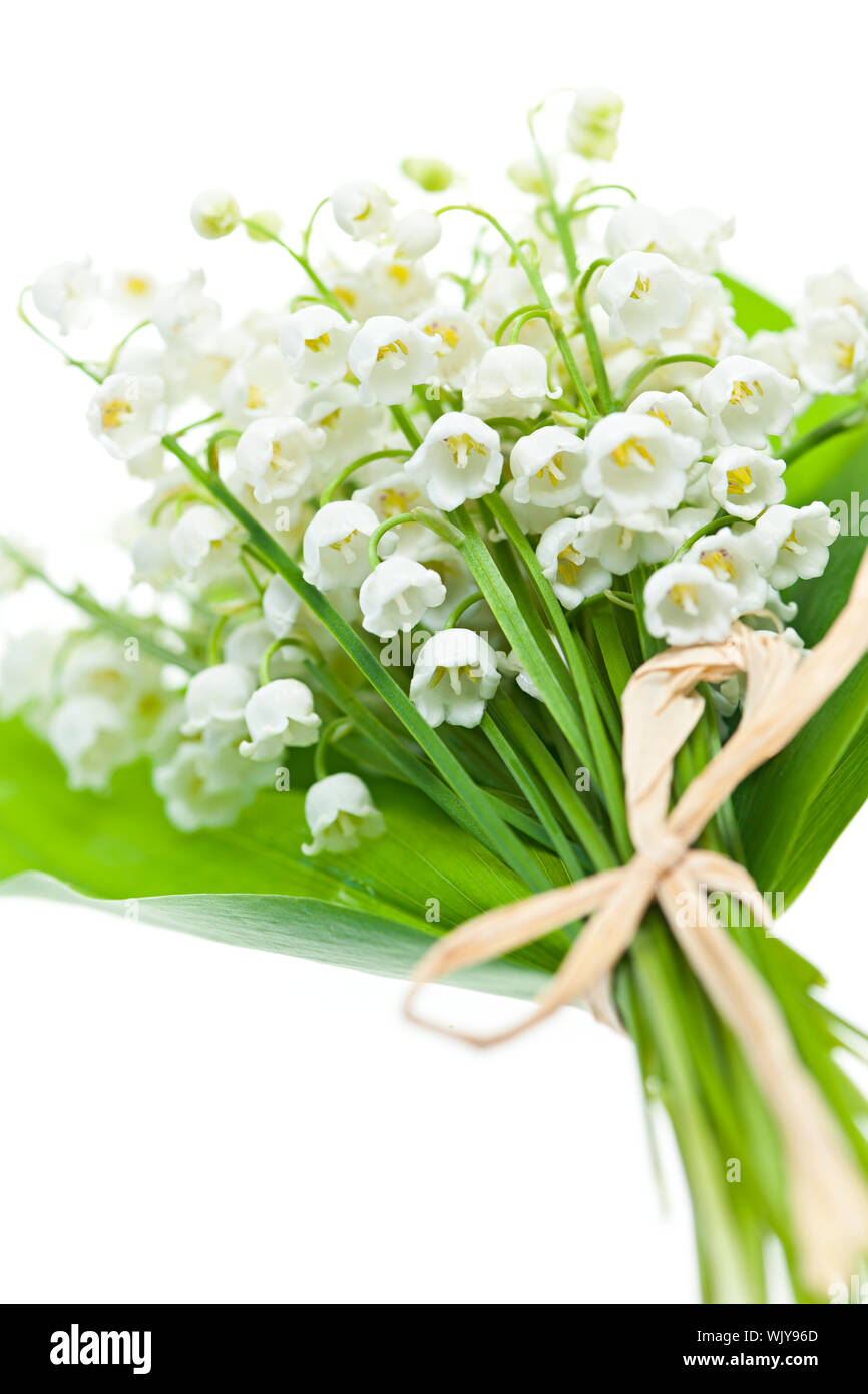 Lily of the valley flowers bouquet isolated on white background Stock ...