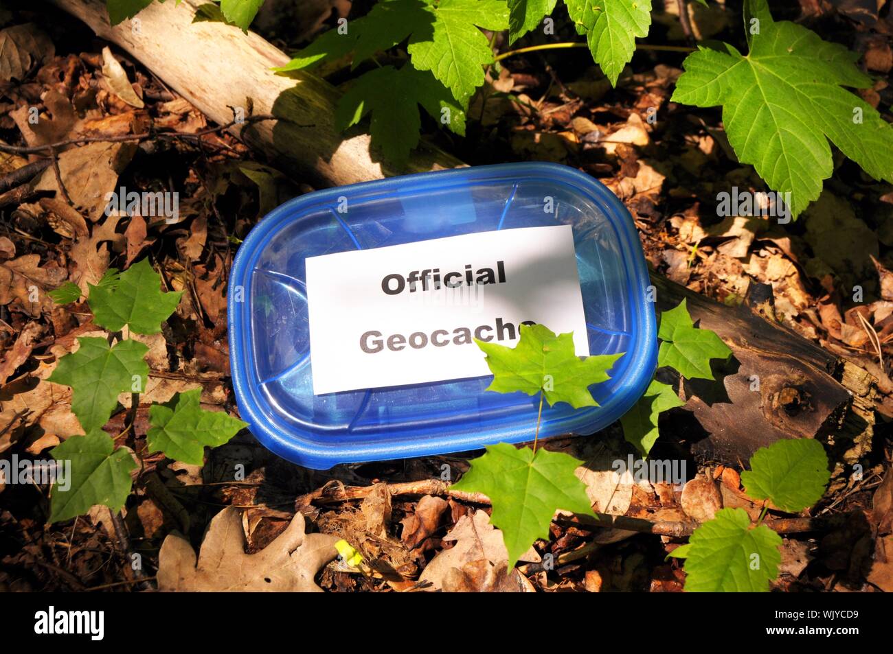 Official geocache container hires stock photography and images Alamy