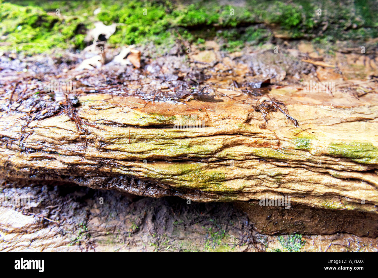 Pictures of witches gulch located in Wisconsin Dells while doing an