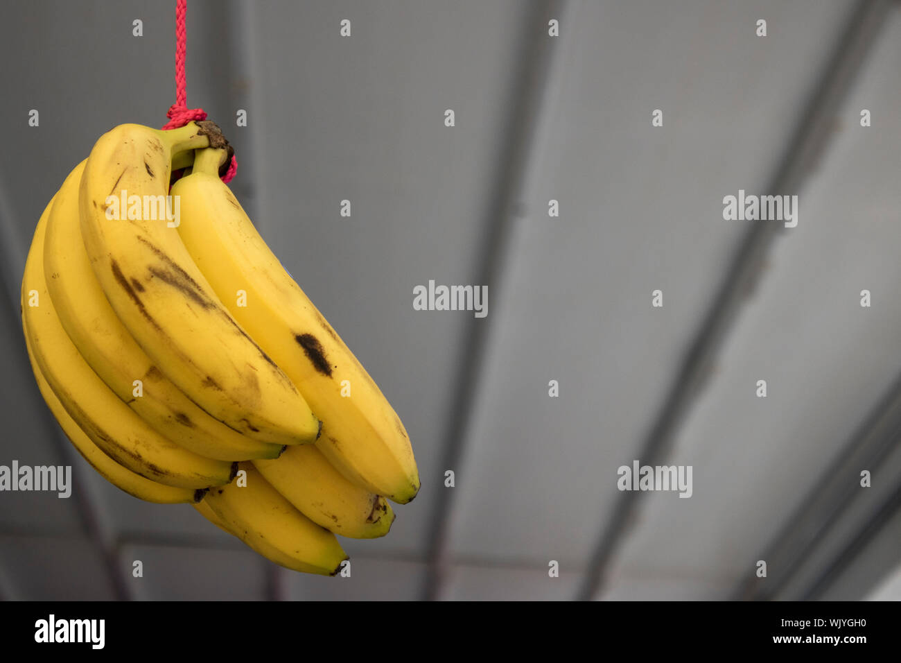 Bananas hanging on the rope. Blurred background Stock Photo Alamy