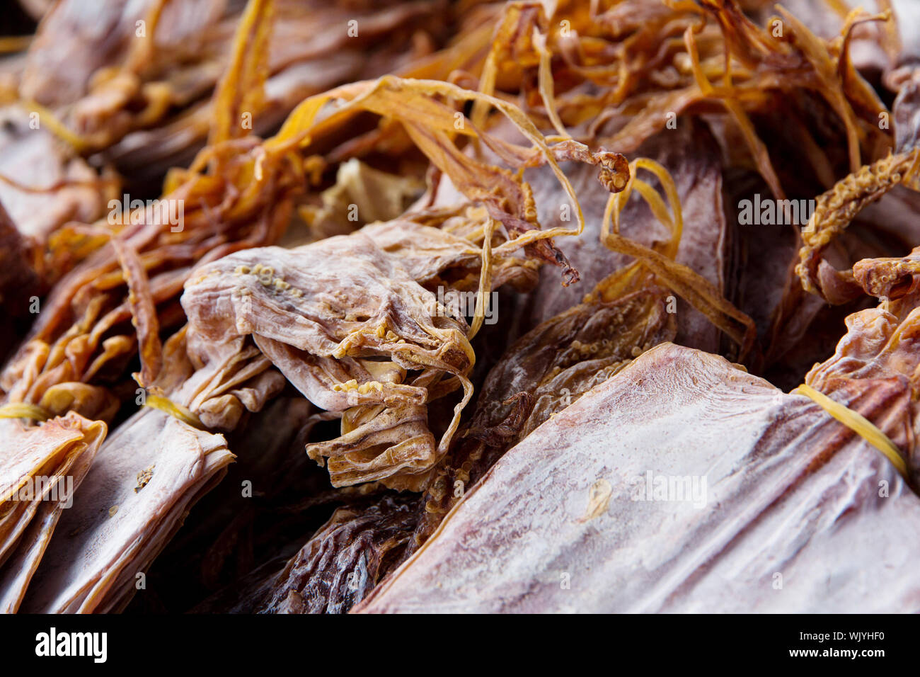 Dried squid background Stock Photo