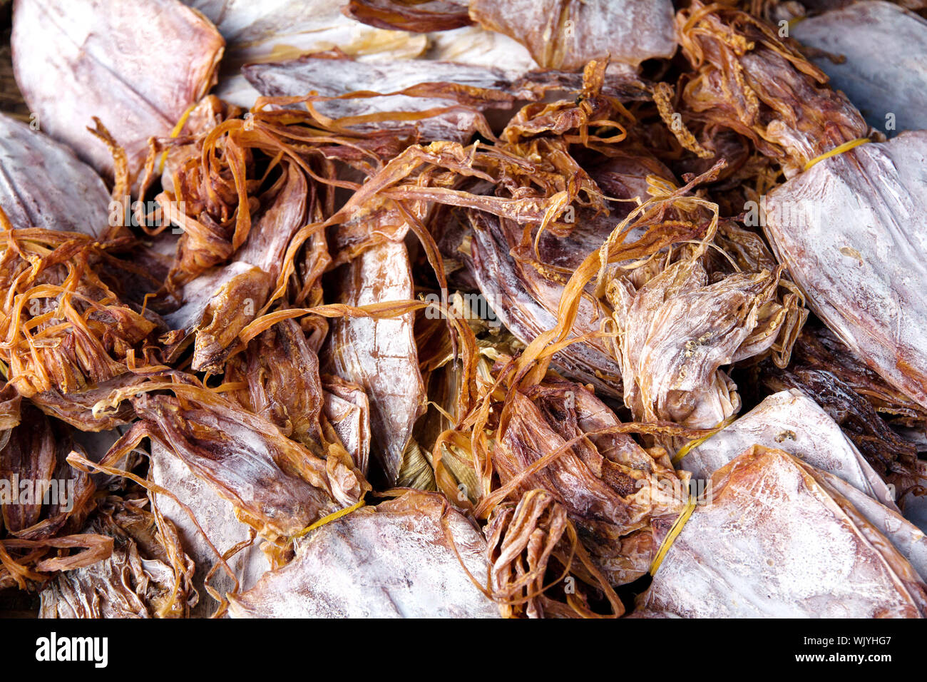 Dried squid in local market Stock Photo - Alamy