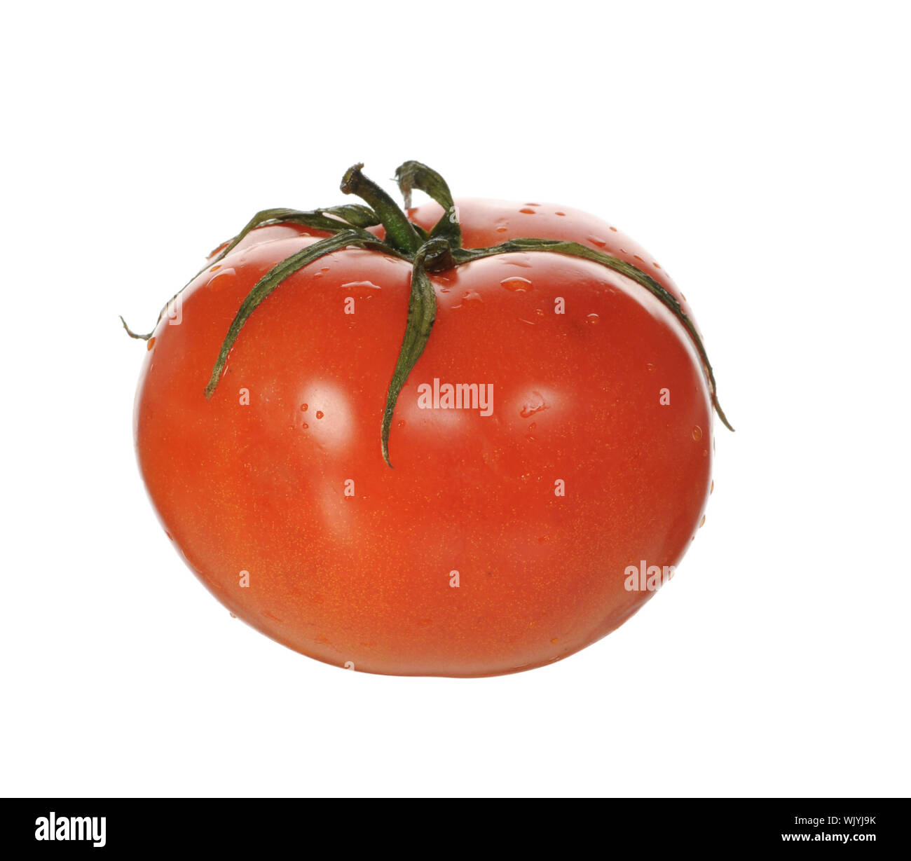 tomato isolated on a white studio background Stock Photo - Alamy