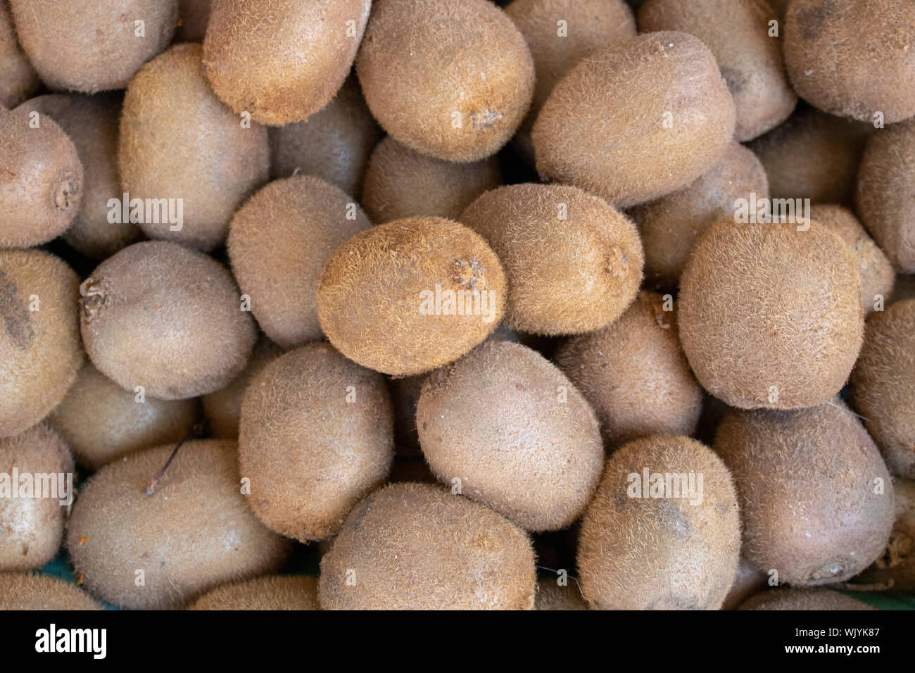 Kiwi more hi-res stock photography and images - Alamy