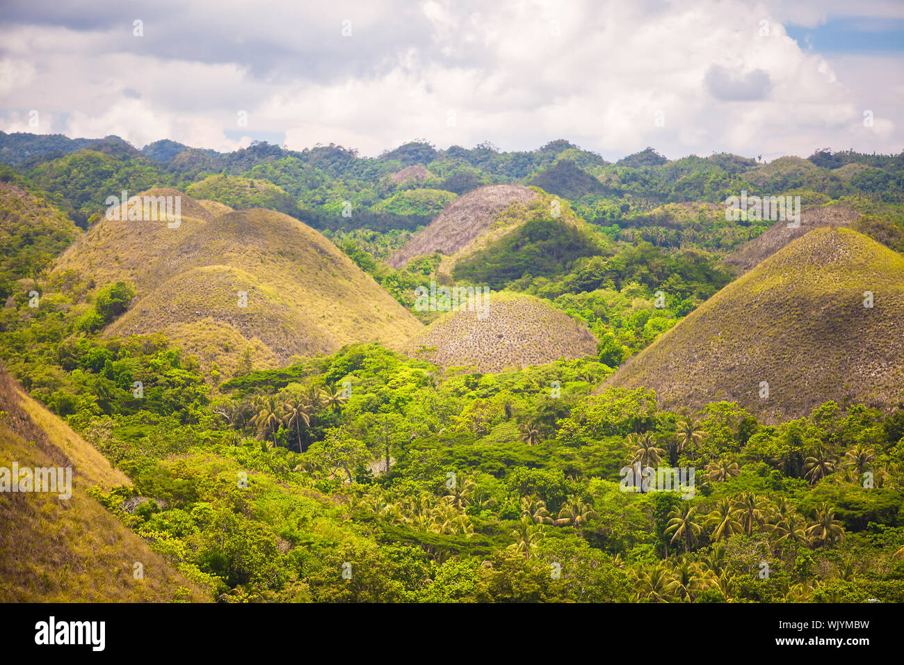 Green and yellow unusual Chocolate Hills in Bohol, Philippines Stock Photo Alamy