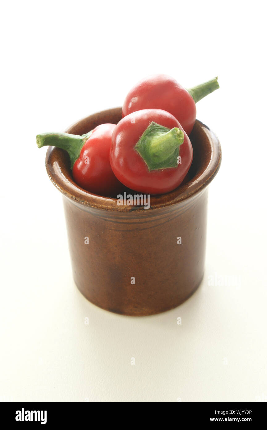 organic cherry paprika is a very hot spice Stock Photo Alamy