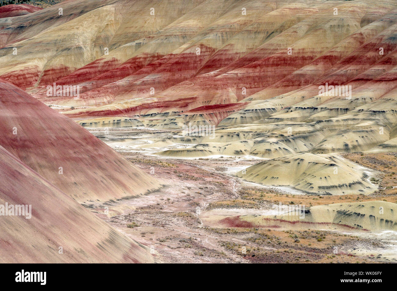 John day fossil beds national park hi-res stock photography and images -  Alamy