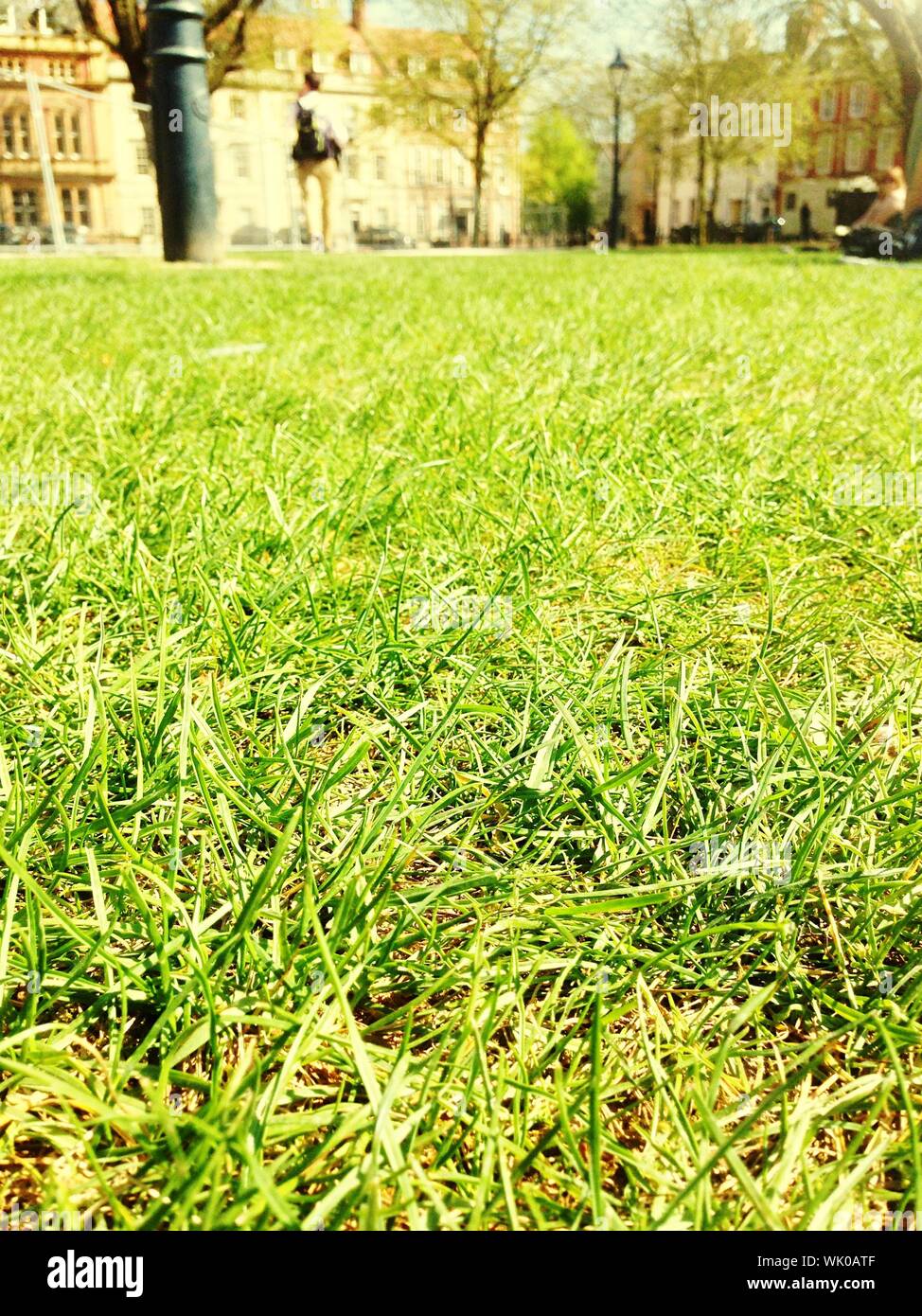 Lush with green grass hi-res stock photography and images - Alamy