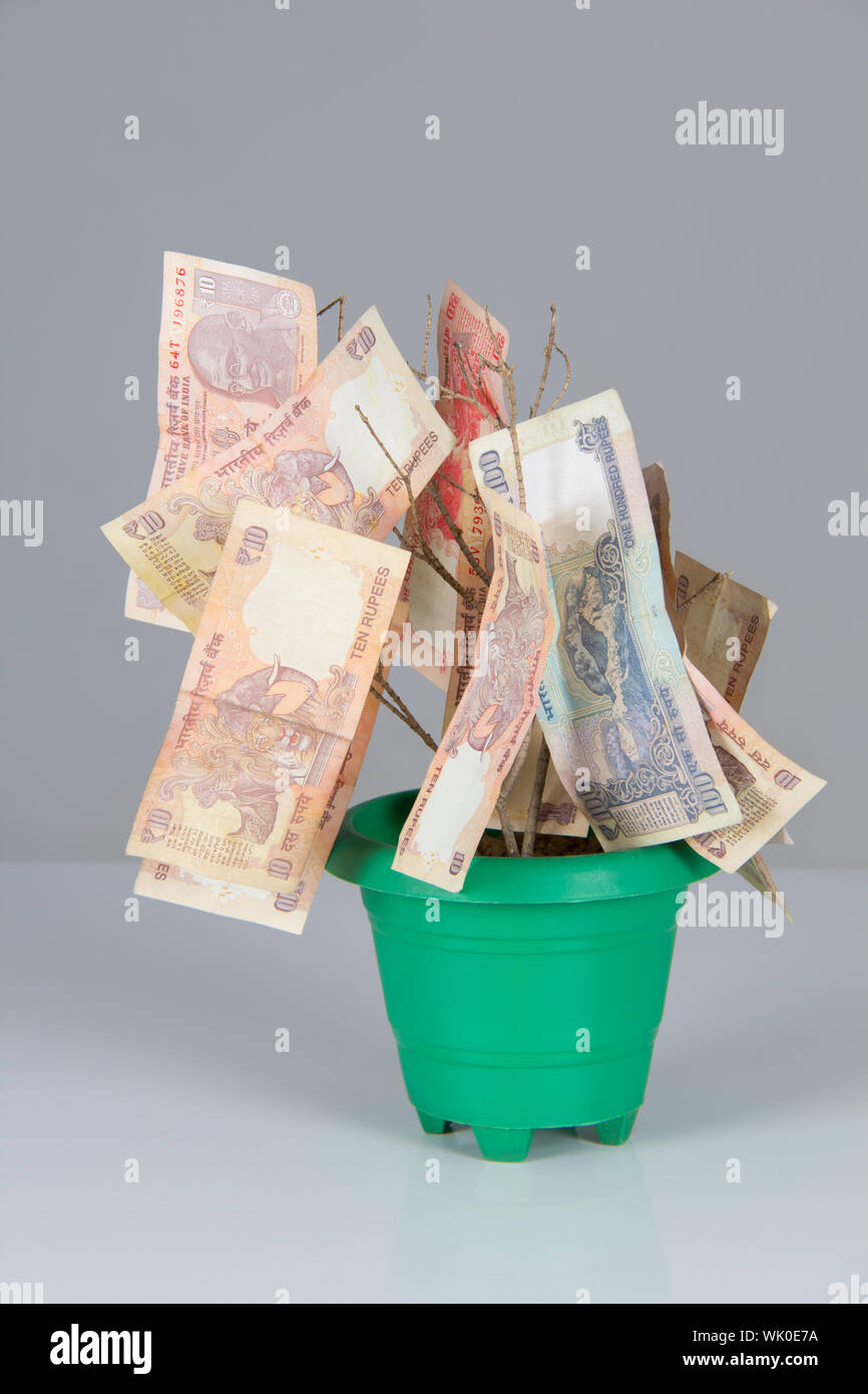 Money growing in a pot Stock Photo