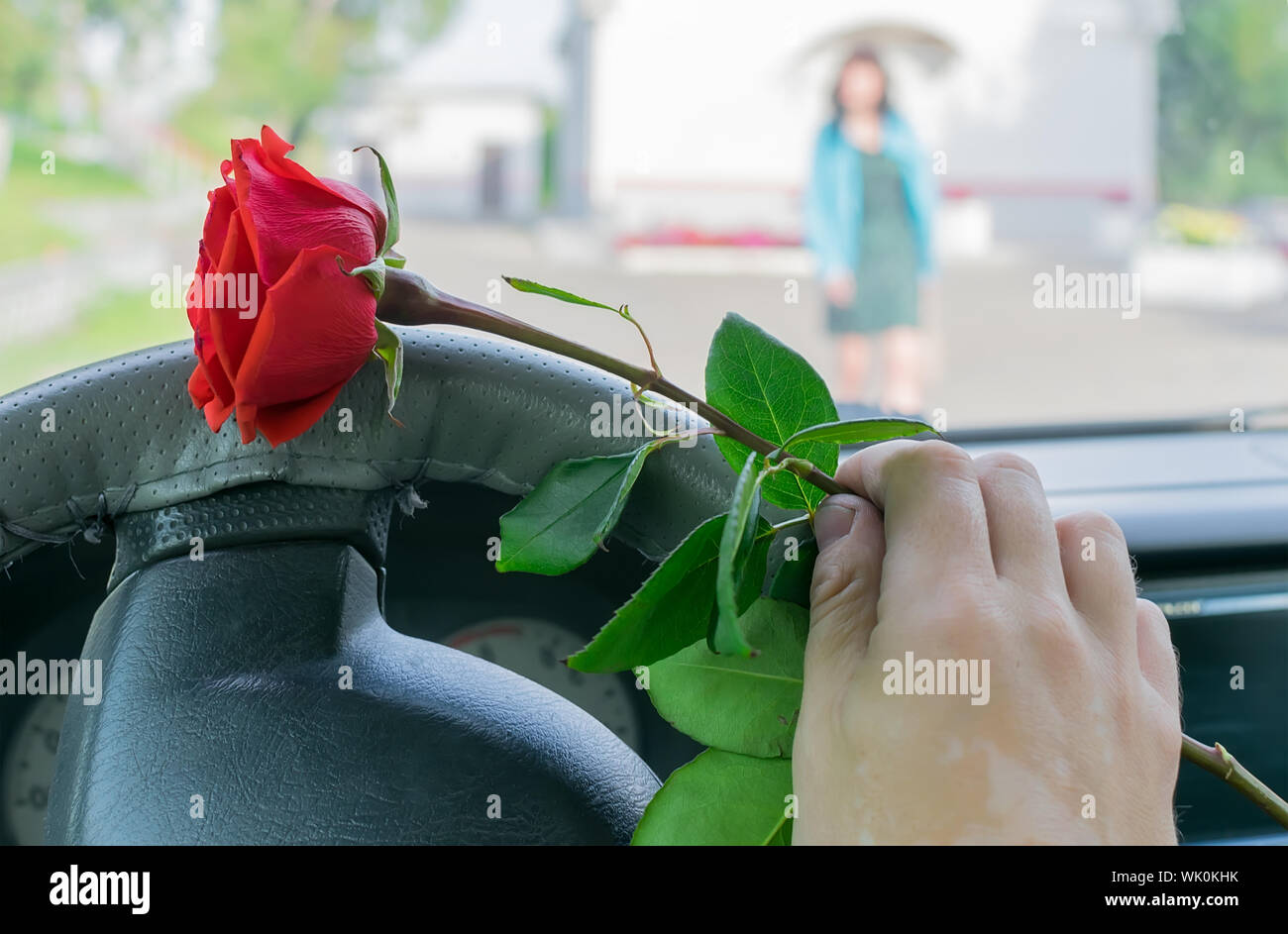 the driver hand in the car behind the wheel holding a red rose flower on  the background of the street and walking to the car of a beautiful girl  Stock Photo -