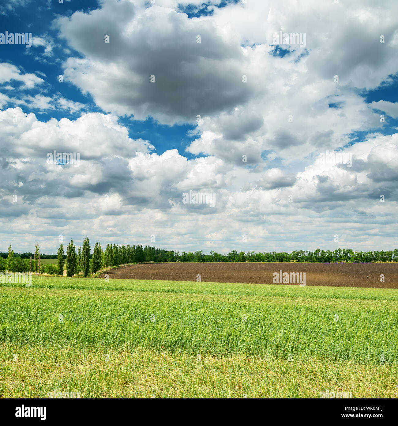 agriculture fields and dramatic sky Stock Photo - Alamy