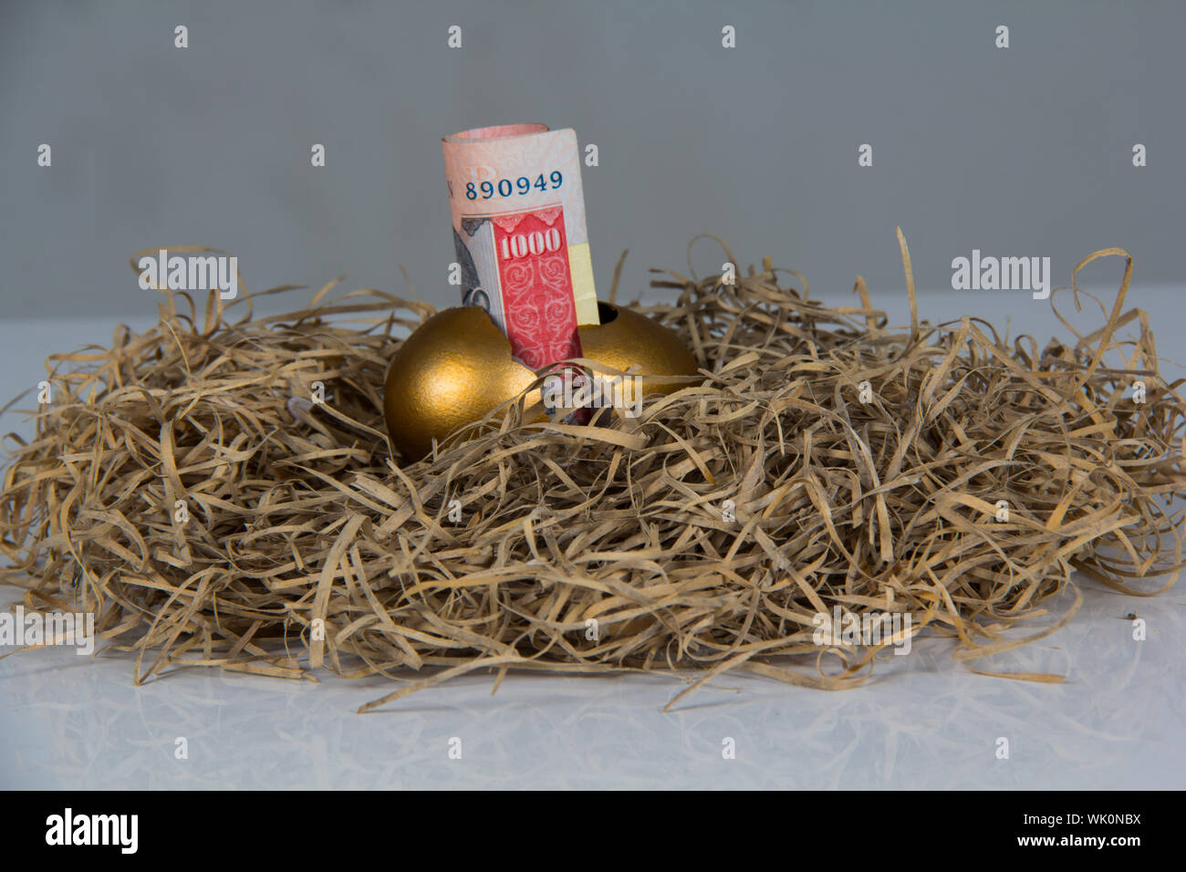 Rolled of thousand rupee note hatched from golden egg Stock Photo