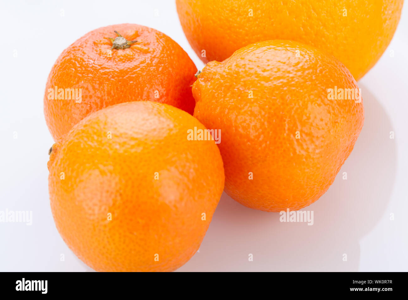 Download 930+ Background Information Of Orange Farm Paling Keren