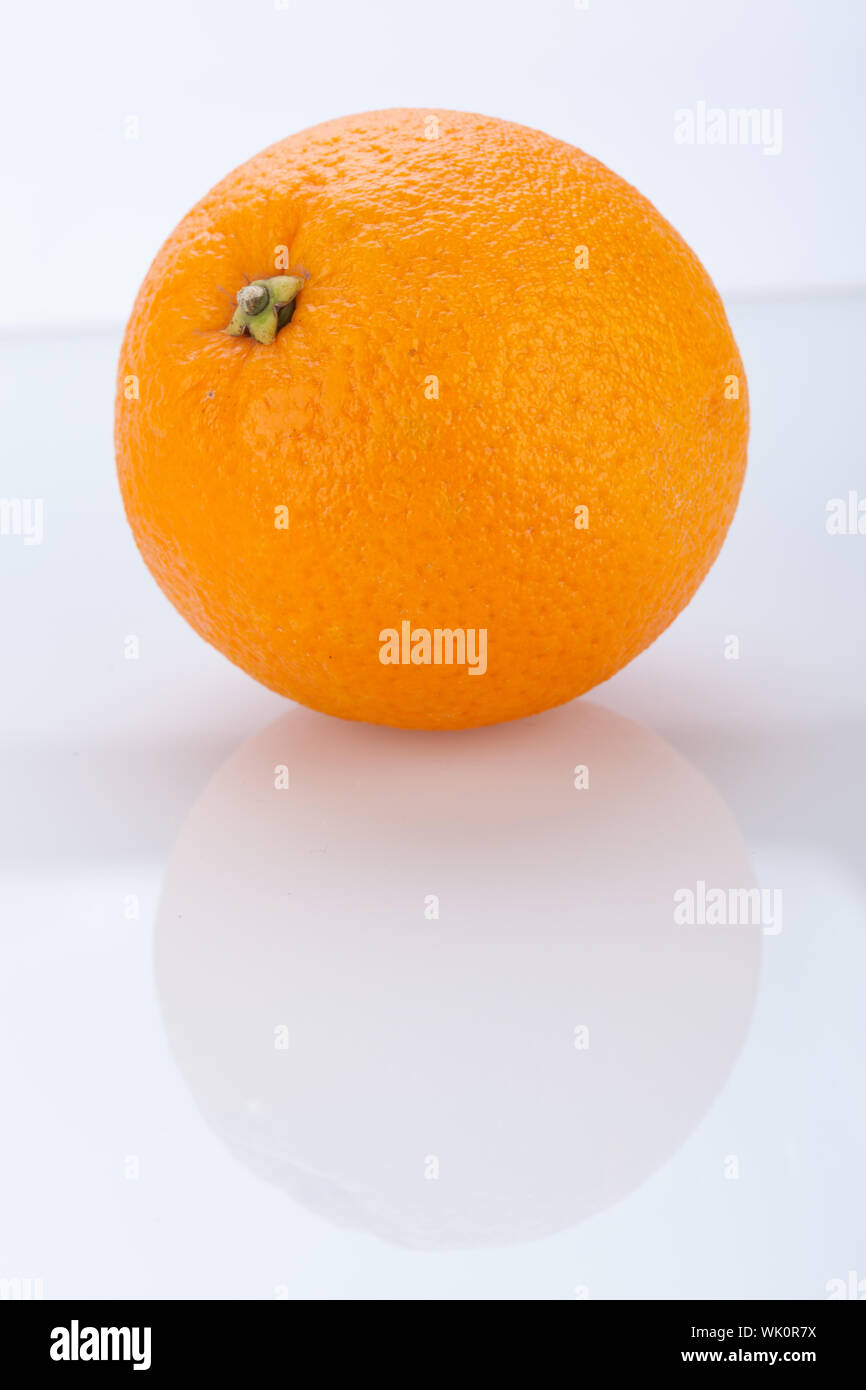 Download 930+ Background Information Of Orange Farm Paling Keren