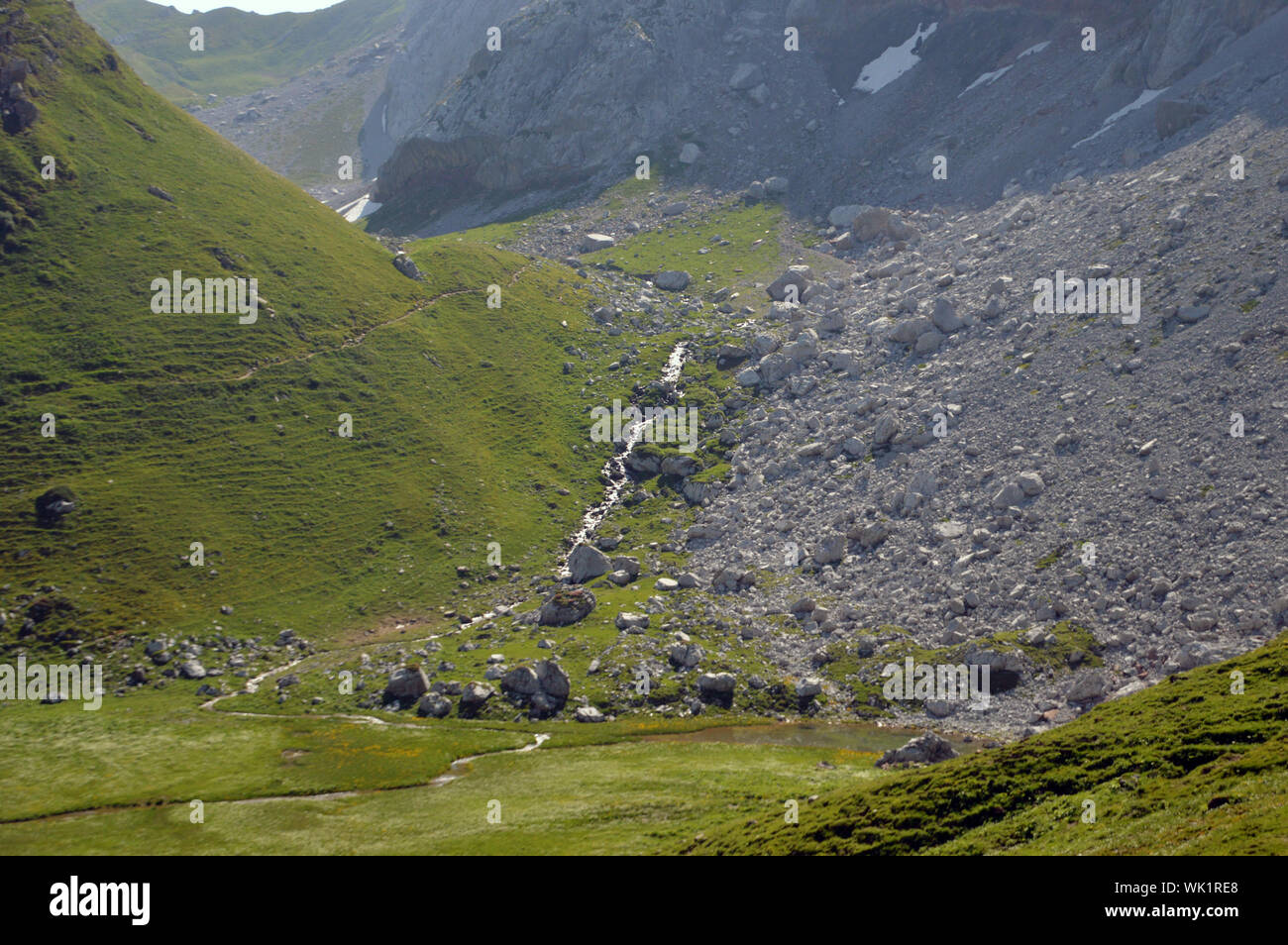 Gletscher im Sommer Stock Photo