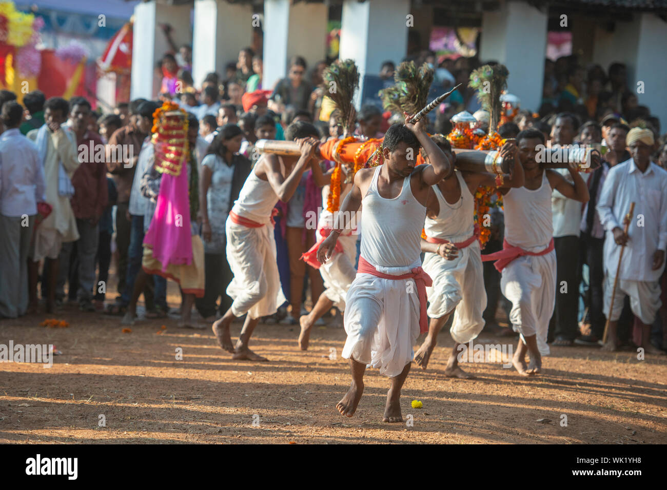 Chattis nere Chattis nere