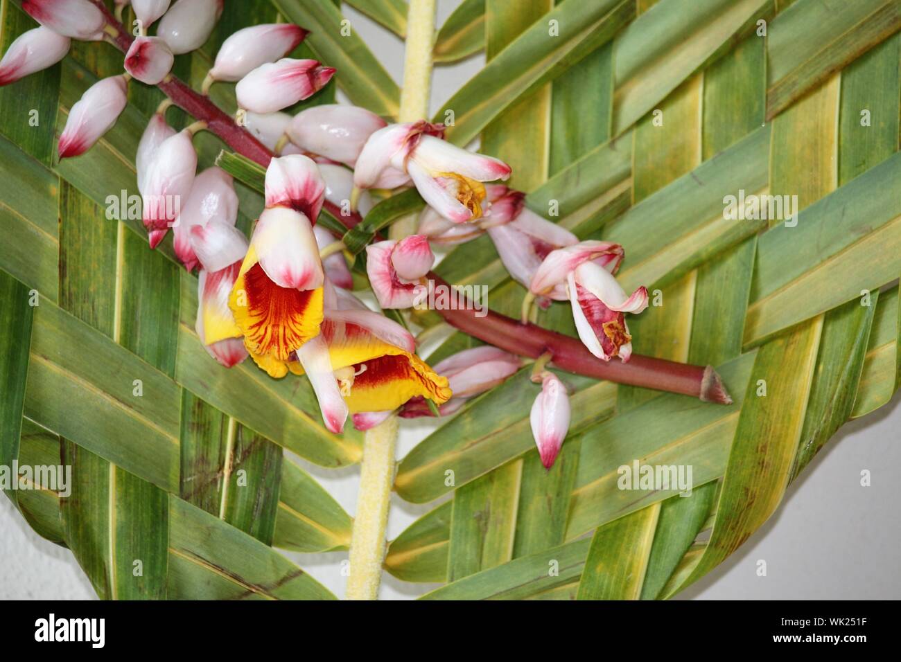 Woven Palm High Resolution Stock Photography and Images Alamy