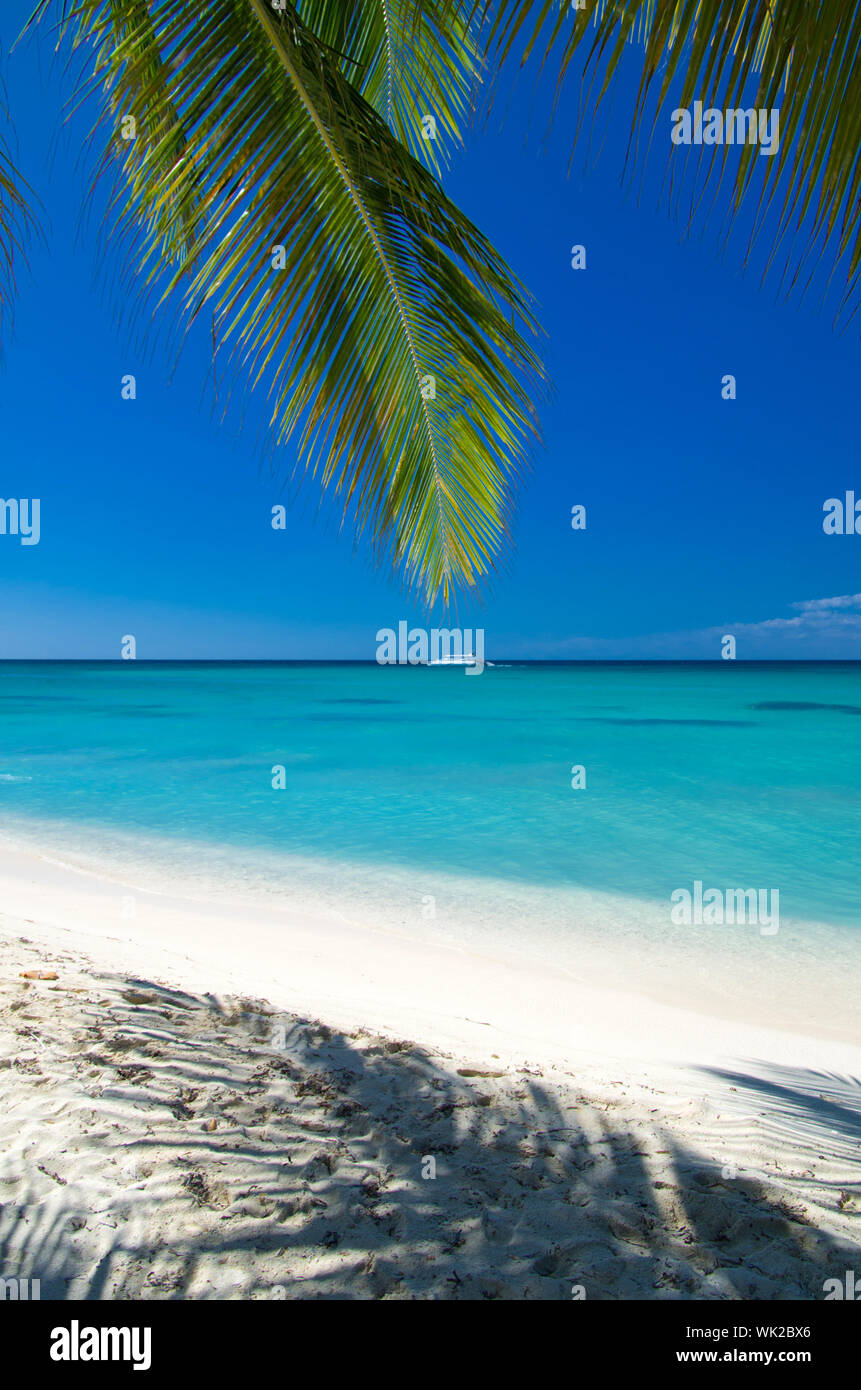 Caribbean clear beach and tropical sea Stock Photo - Alamy