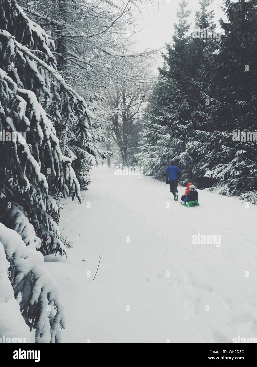 Riding sledge hi-res stock photography and images - Alamy