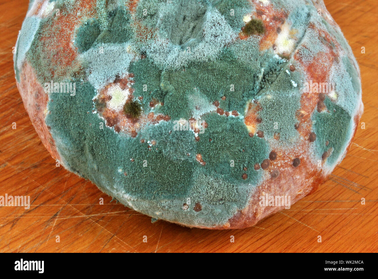 mouldy bread unhealthy to eat on a timber board Stock Photo