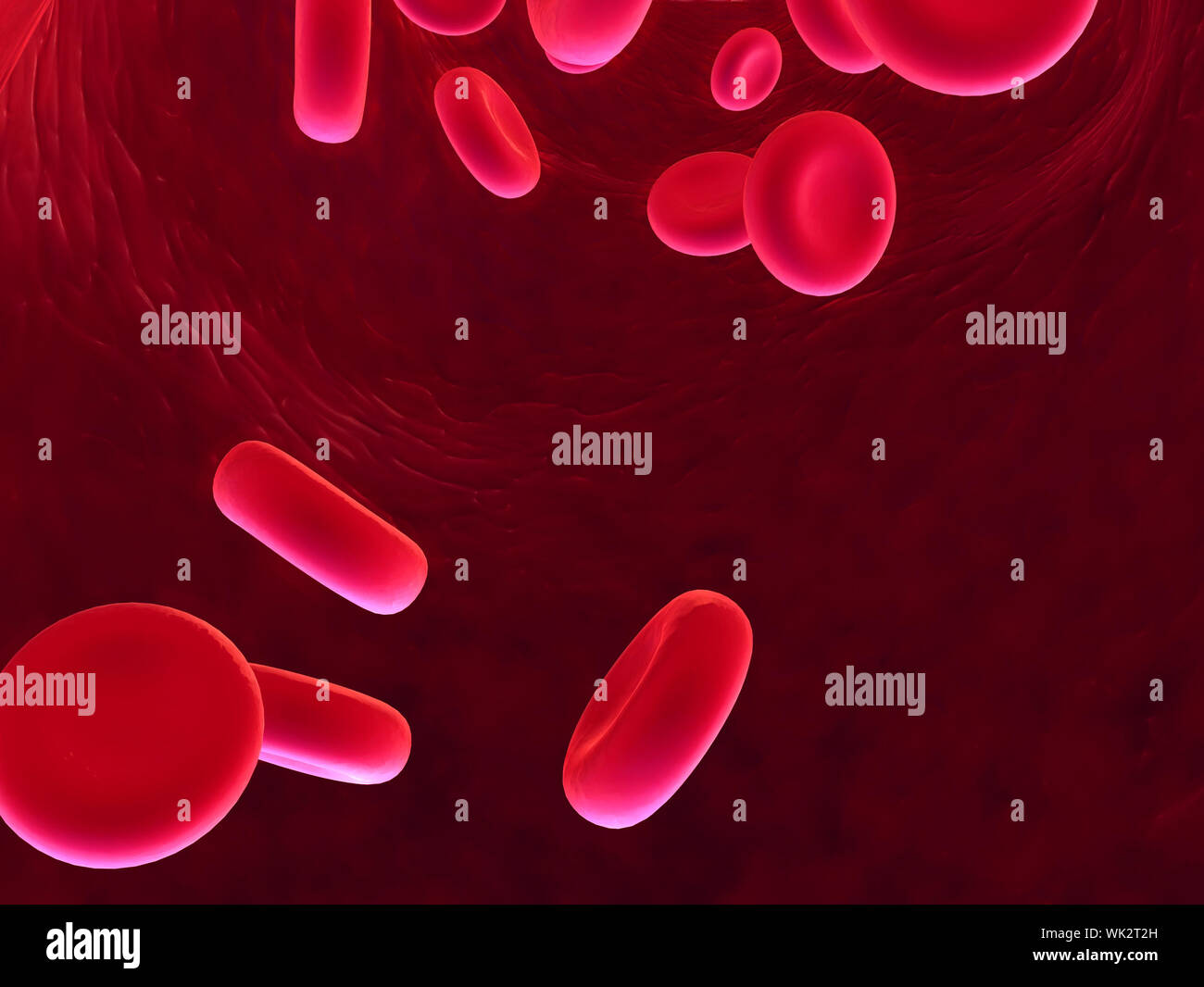 blood cell close up Stock Photo