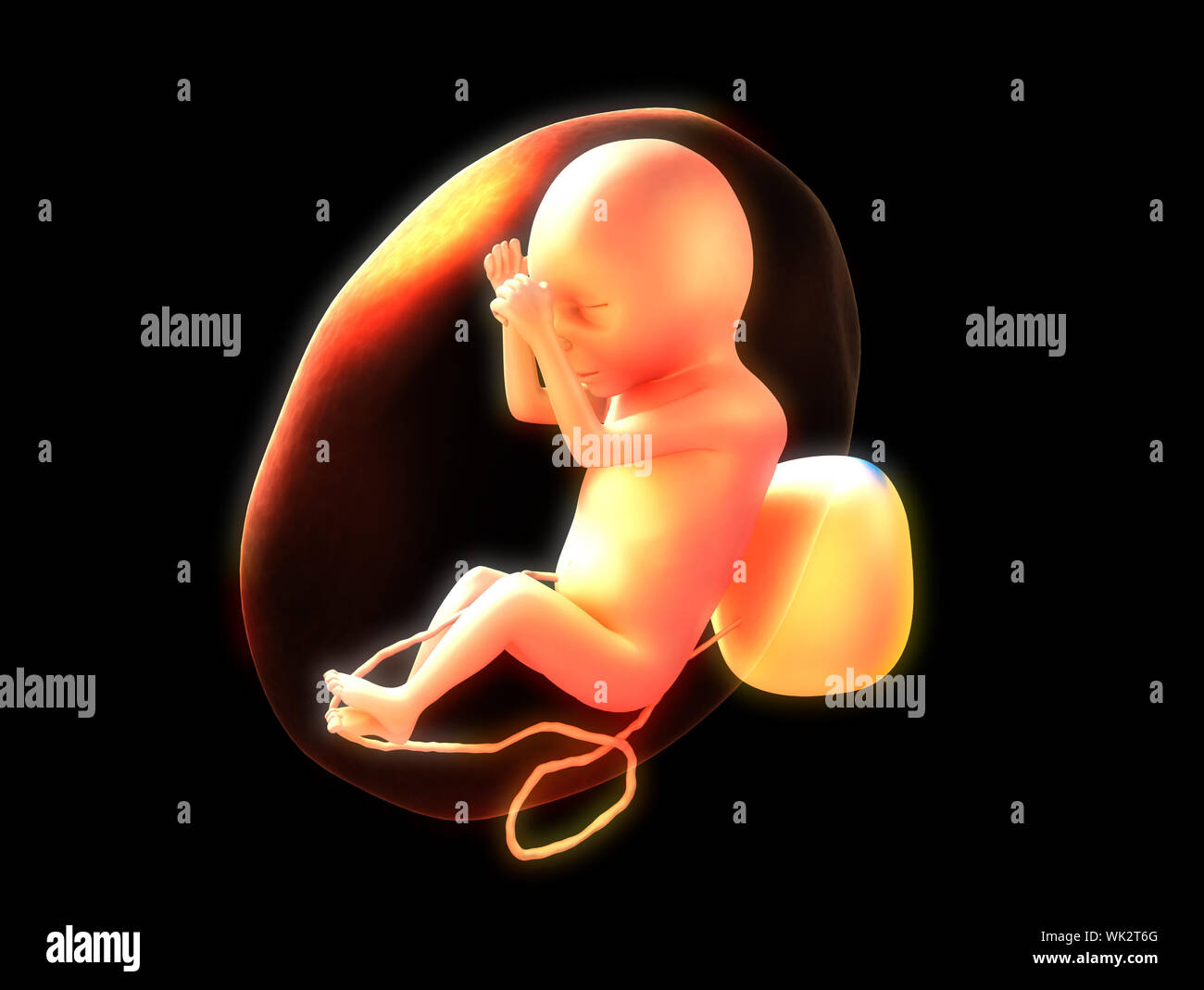 Birth and creation hi-res stock photography and images - Alamy