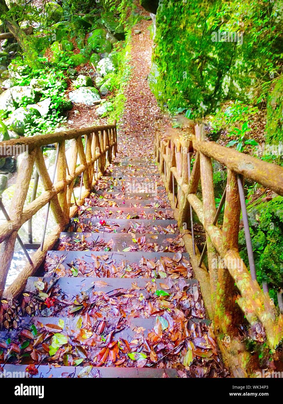Narrow Stairs Along Railings Stock Photo Alamy