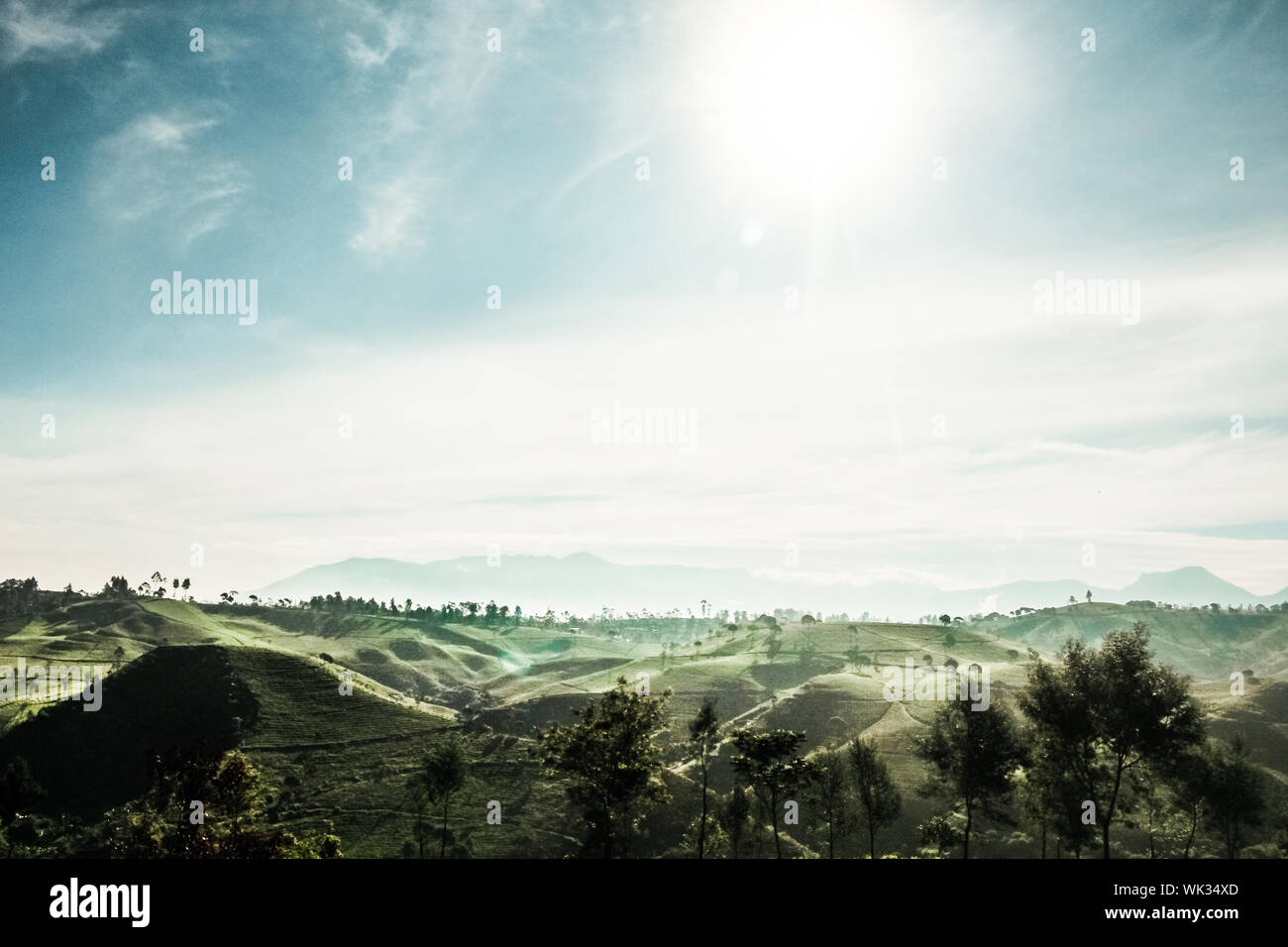Scenic View Of Terraced Fields Against Sky During Sunny Day Stock Photo