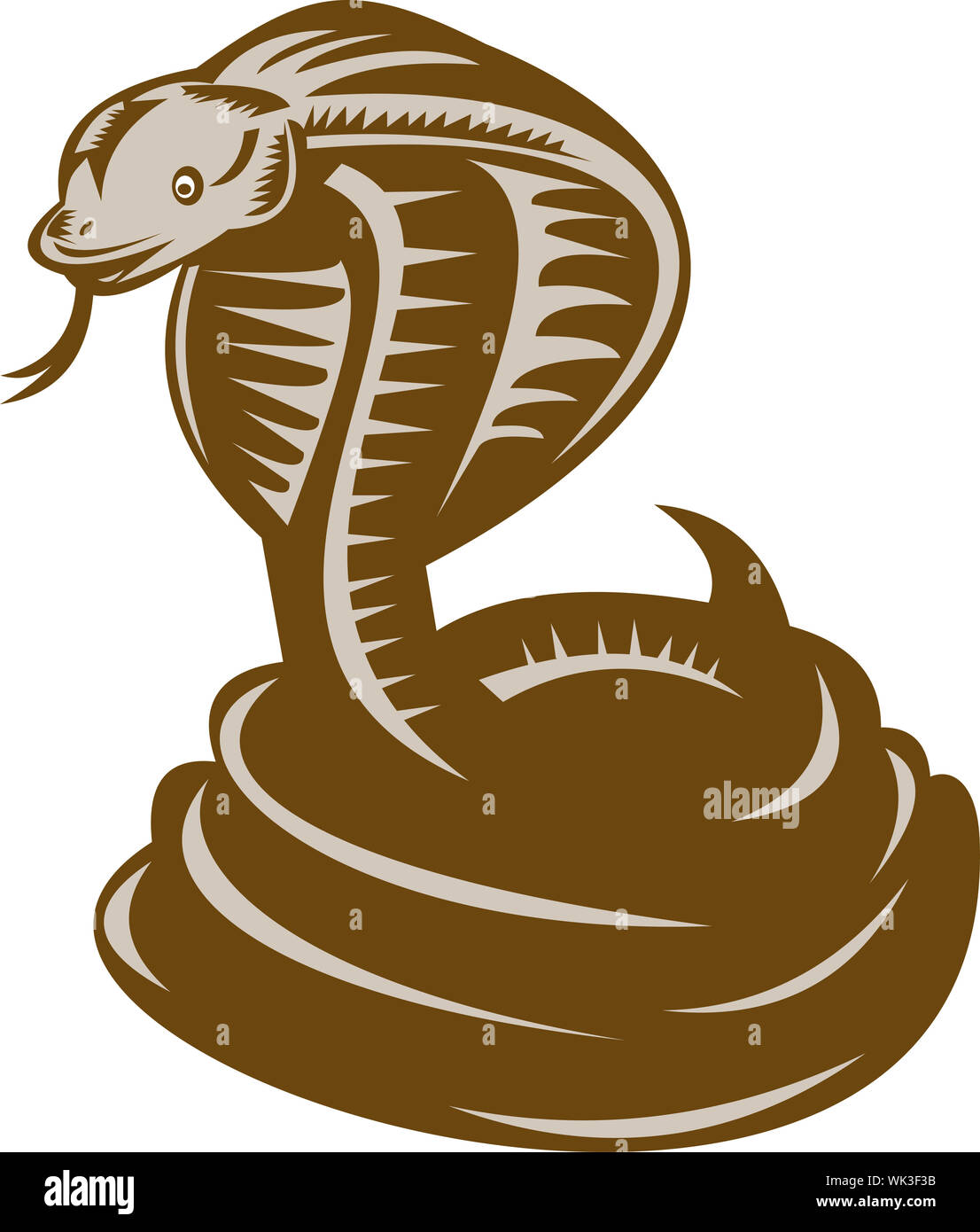 Desenhos animados Cobra Coiled imagem vetorial de cthoman© 132691246