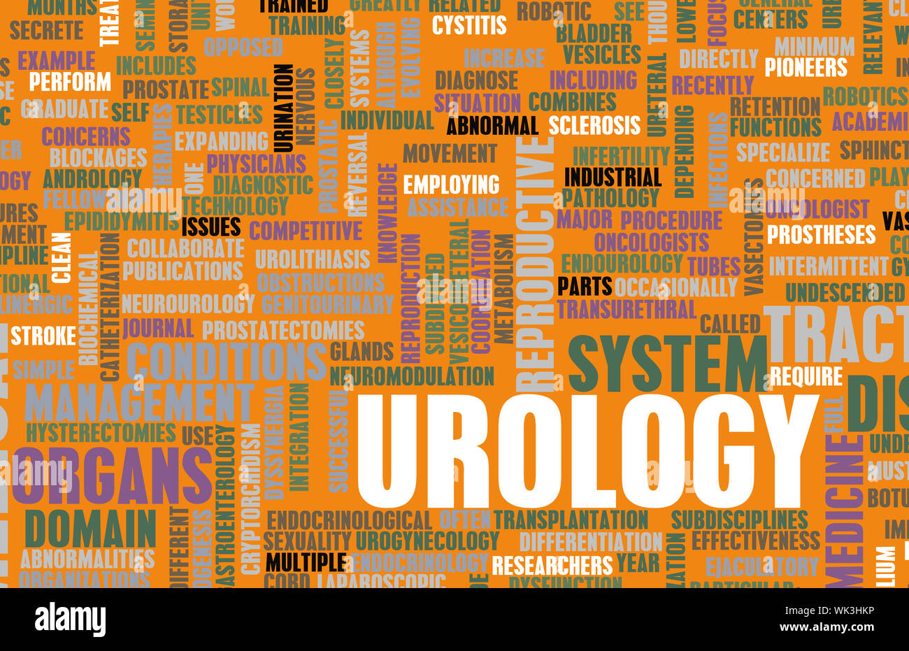 Urology or Urologist Medical Field Specialty As Art Stock Photo Alamy