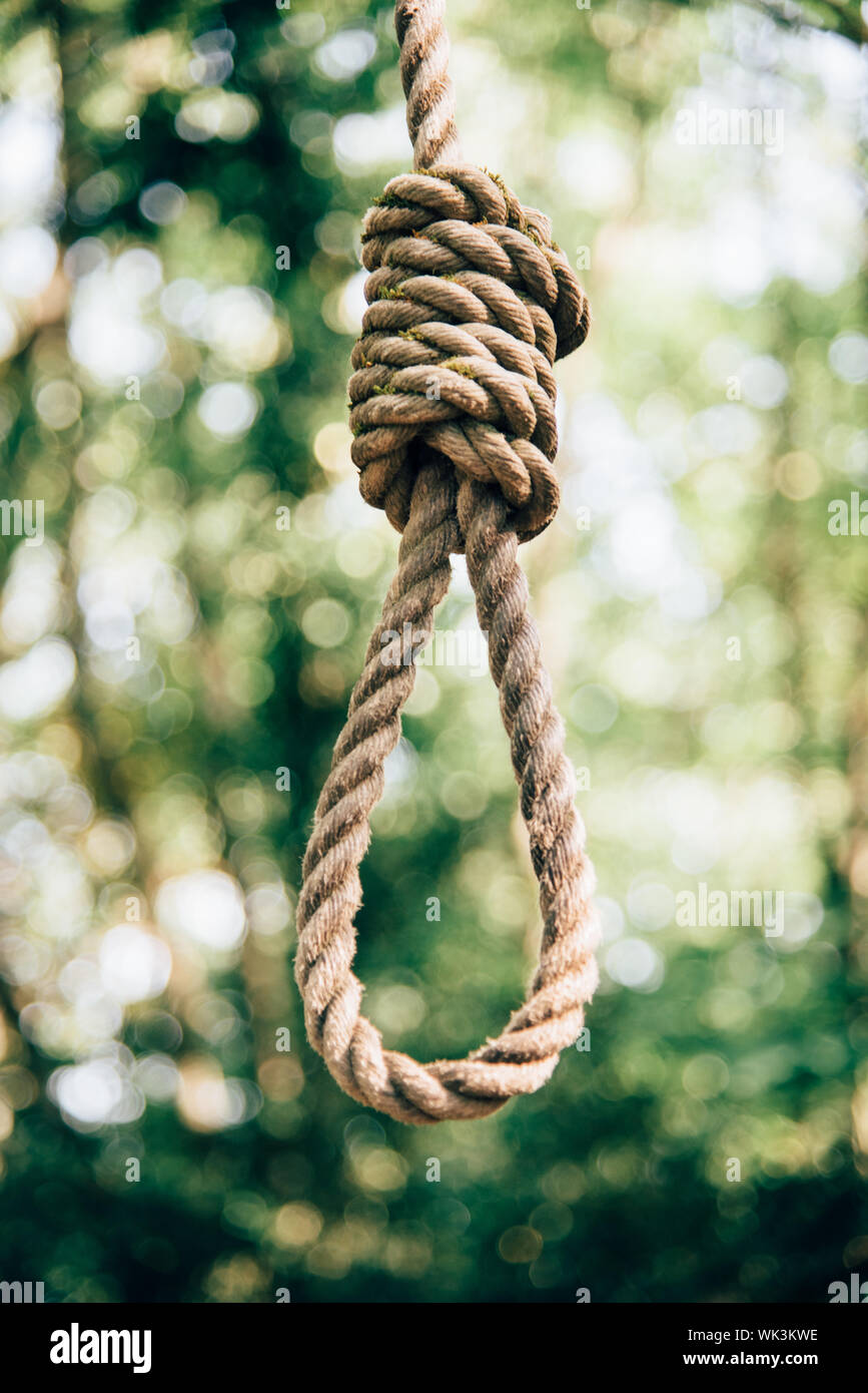 Hanging noose hires stock photography and images Alamy
