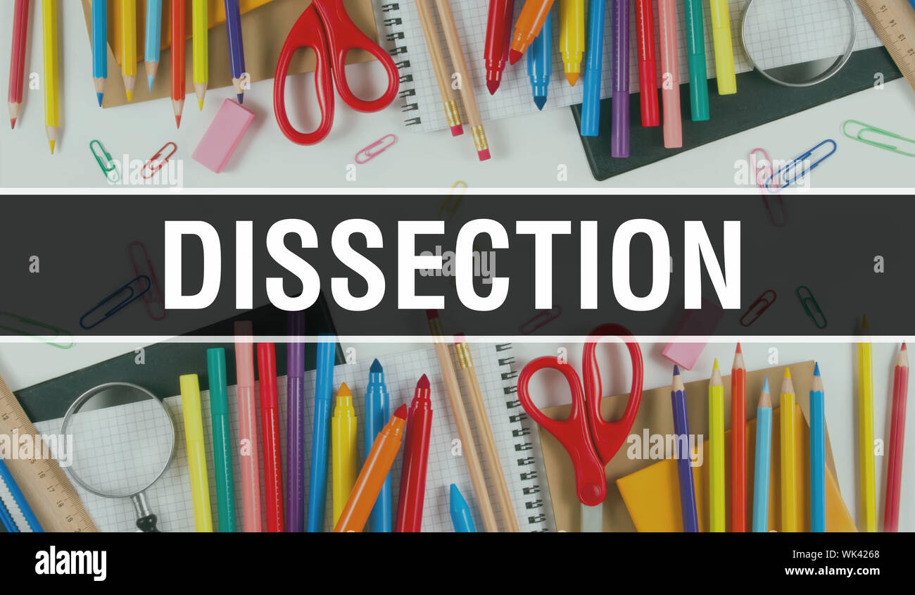 dissection with School supplies on blackboard Background. dissection