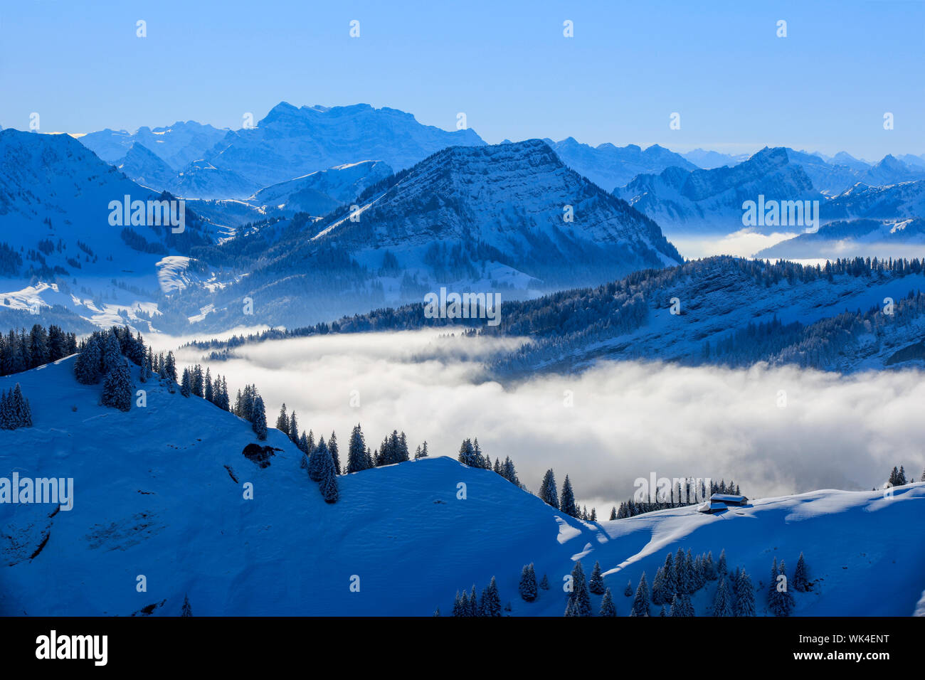 Aussicht vom Kronberg,  Appenzell,  Schweiz Stock Photo