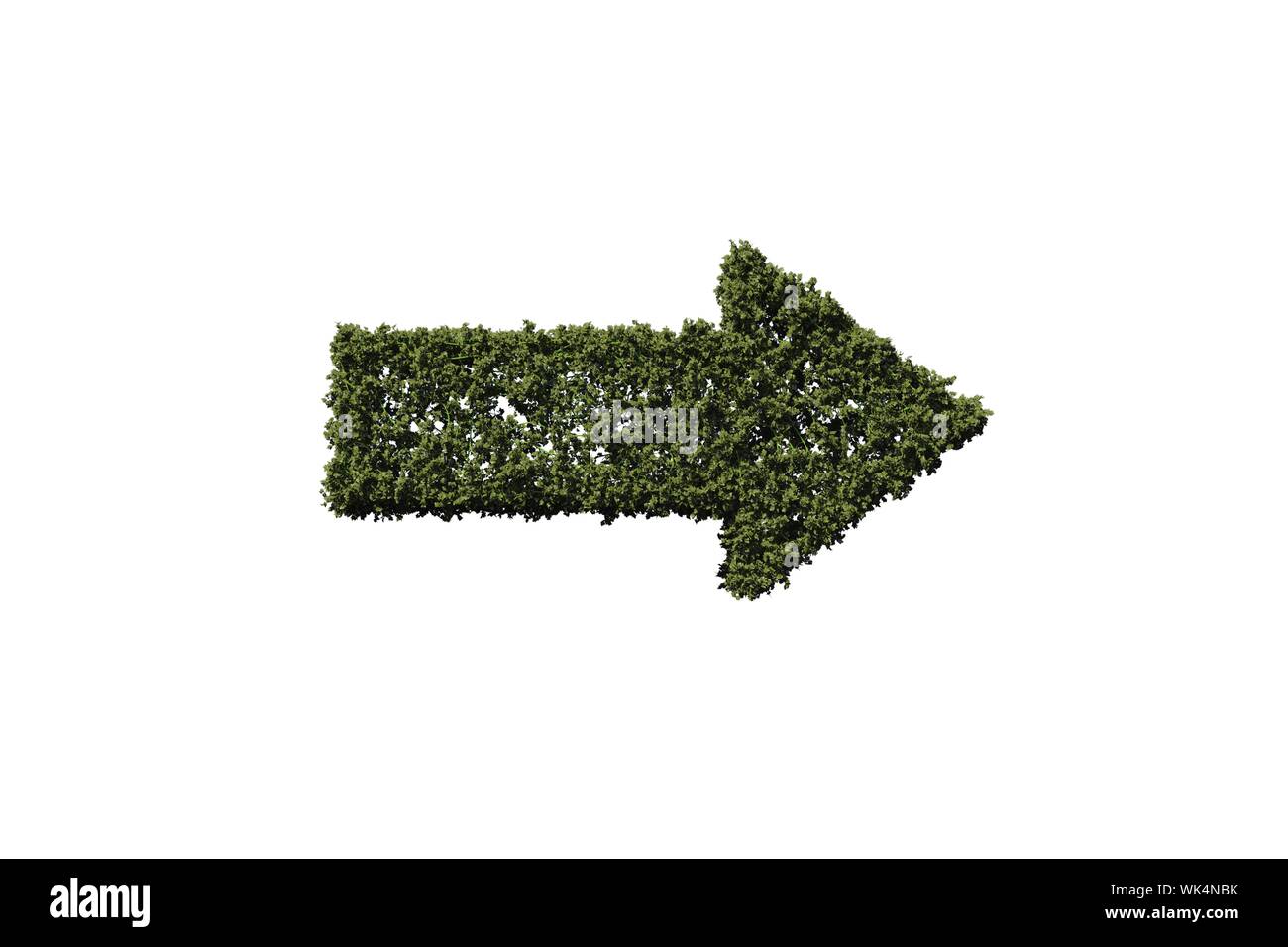 Green arrow made of leaves on white background Stock Photo - Alamy