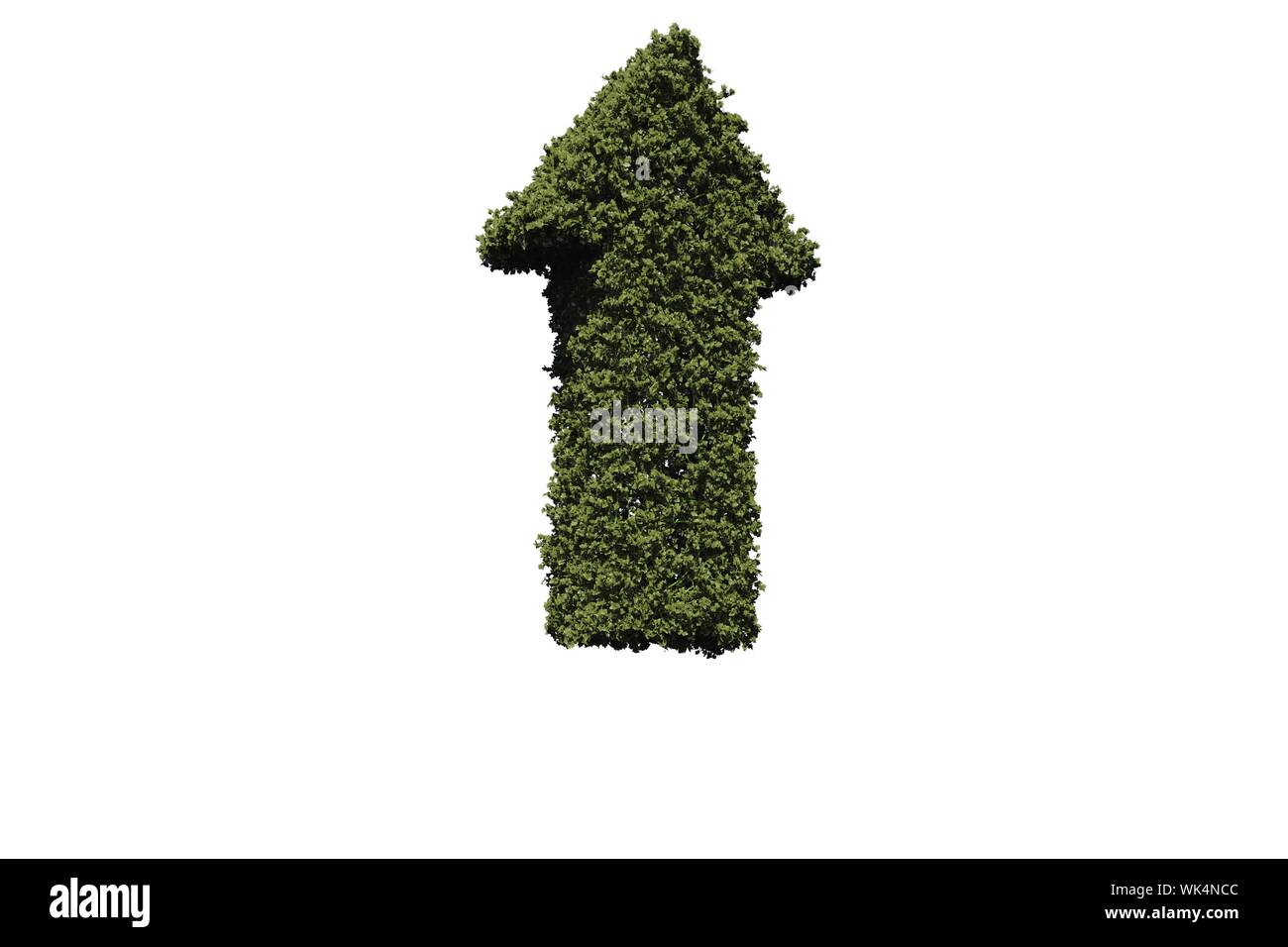 Green arrow made of leaves on white background Stock Photo - Alamy