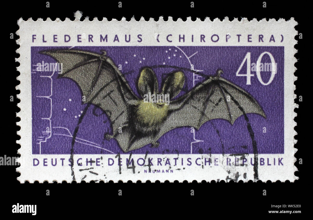 Stamp printed in German Democratic Republic shows the image of a flying mice, circa 1958. Stock Photo