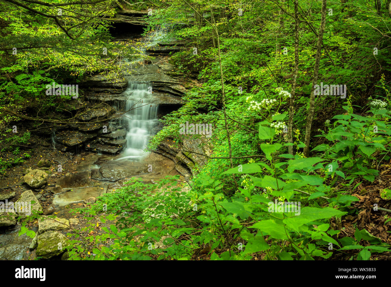 Landscape View of A Smaller Cascade of Pixley Falls Stock Photo Alamy