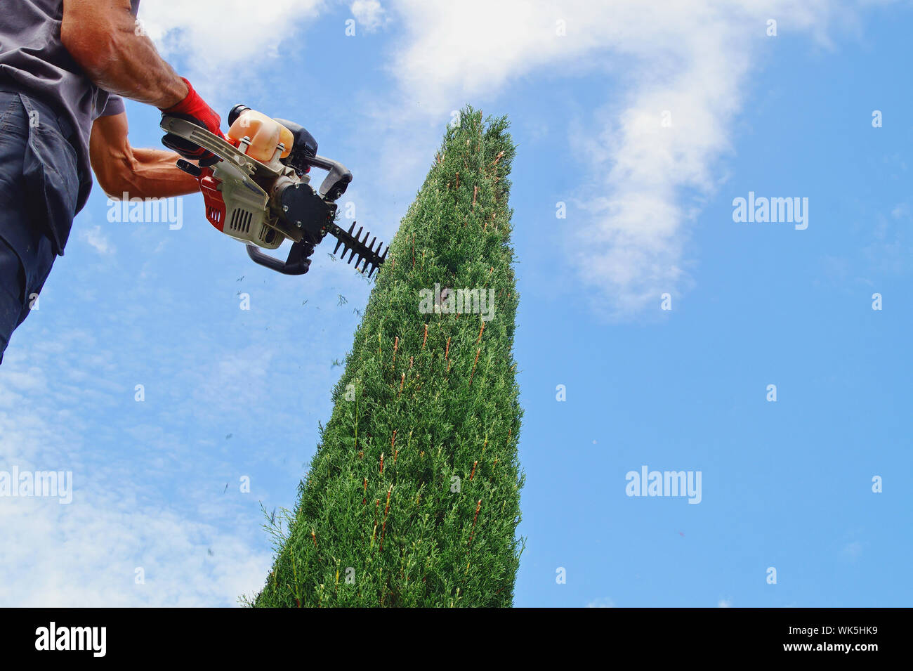 Hedge shears electric hedge trimmer hires stock photography and images