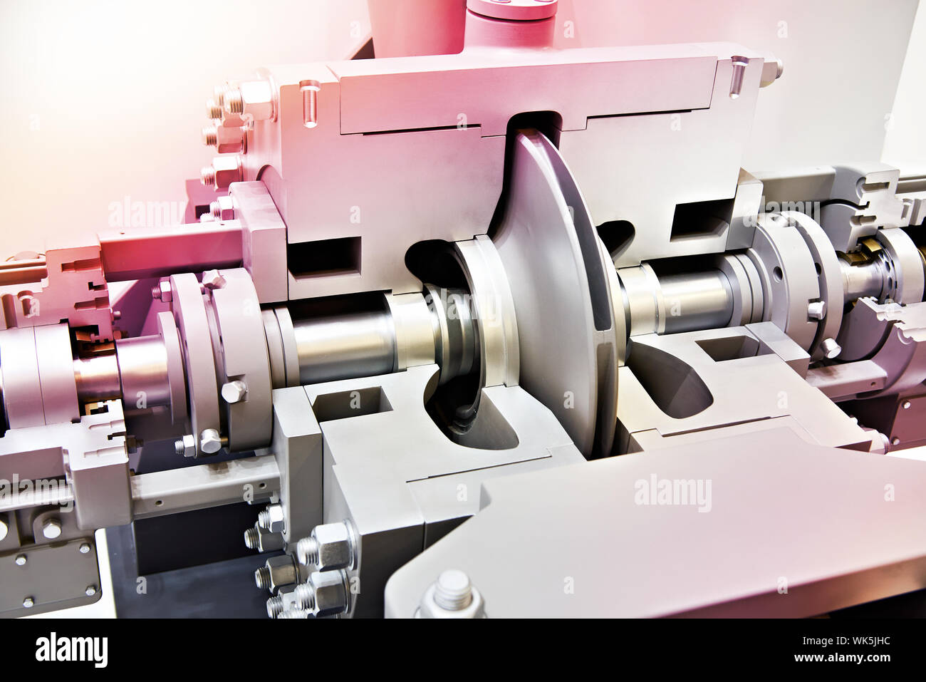 Double support main pump for oil products cross section Stock Photo