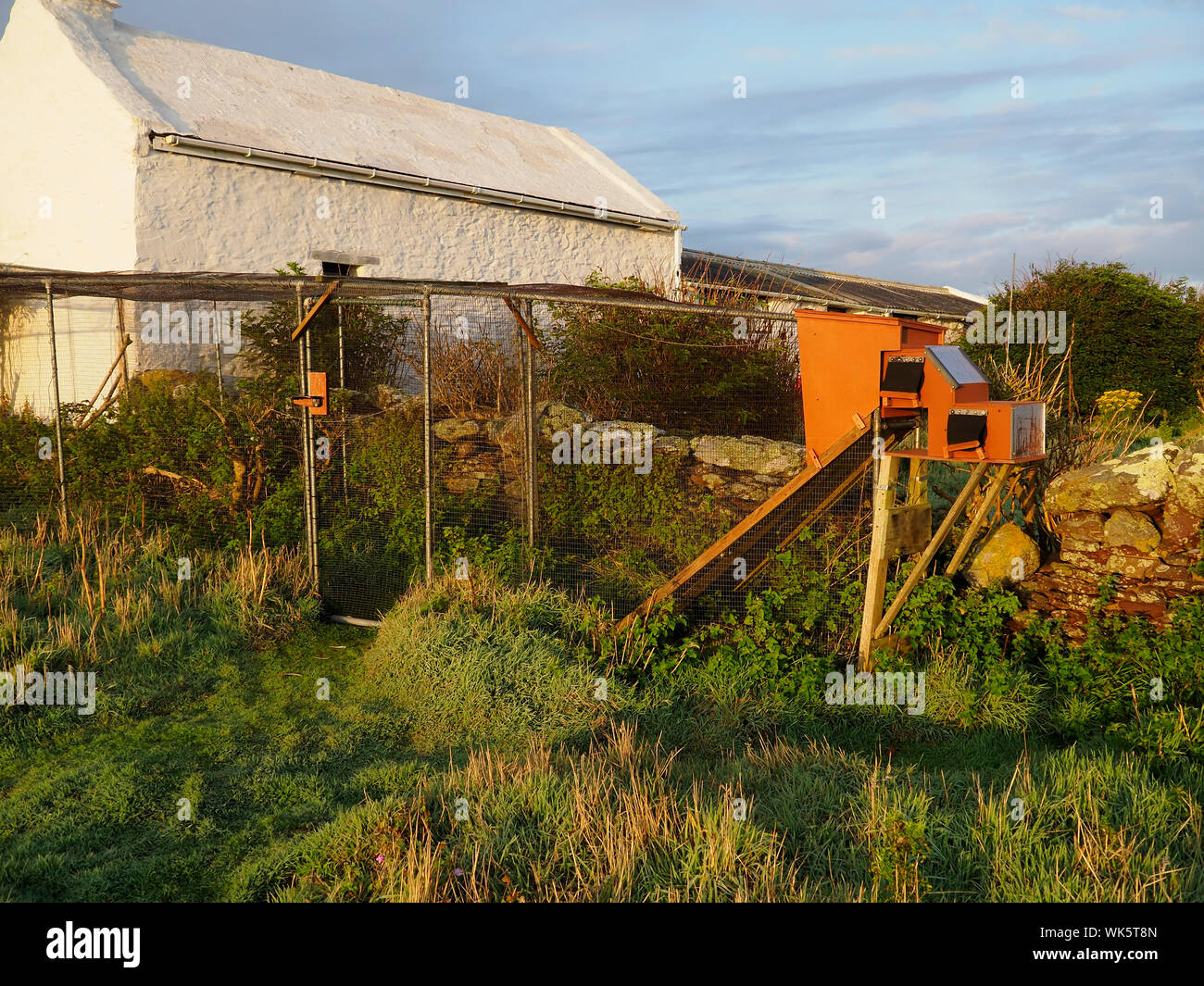 Heligrad bird trap for catching and ringing birds,  Skokholm, Wales, August 2019 Stock Photo