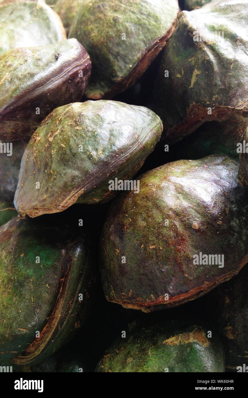 Djenkol bean fruit Stock Photo Alamy