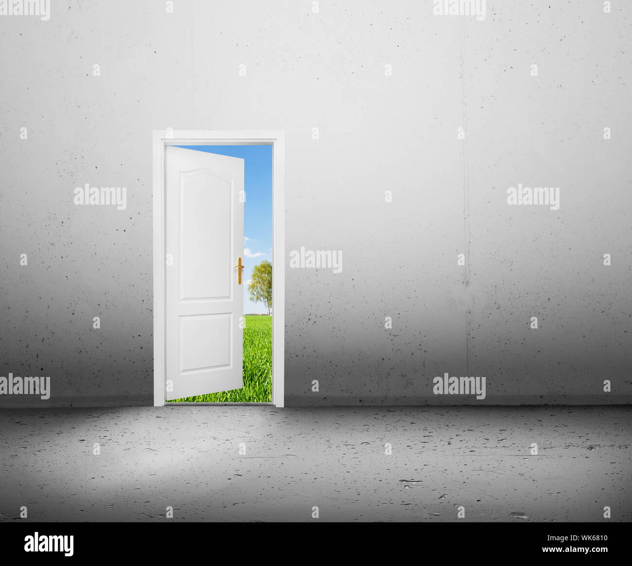 Open Door To A New Better World The Green Summer Landscape