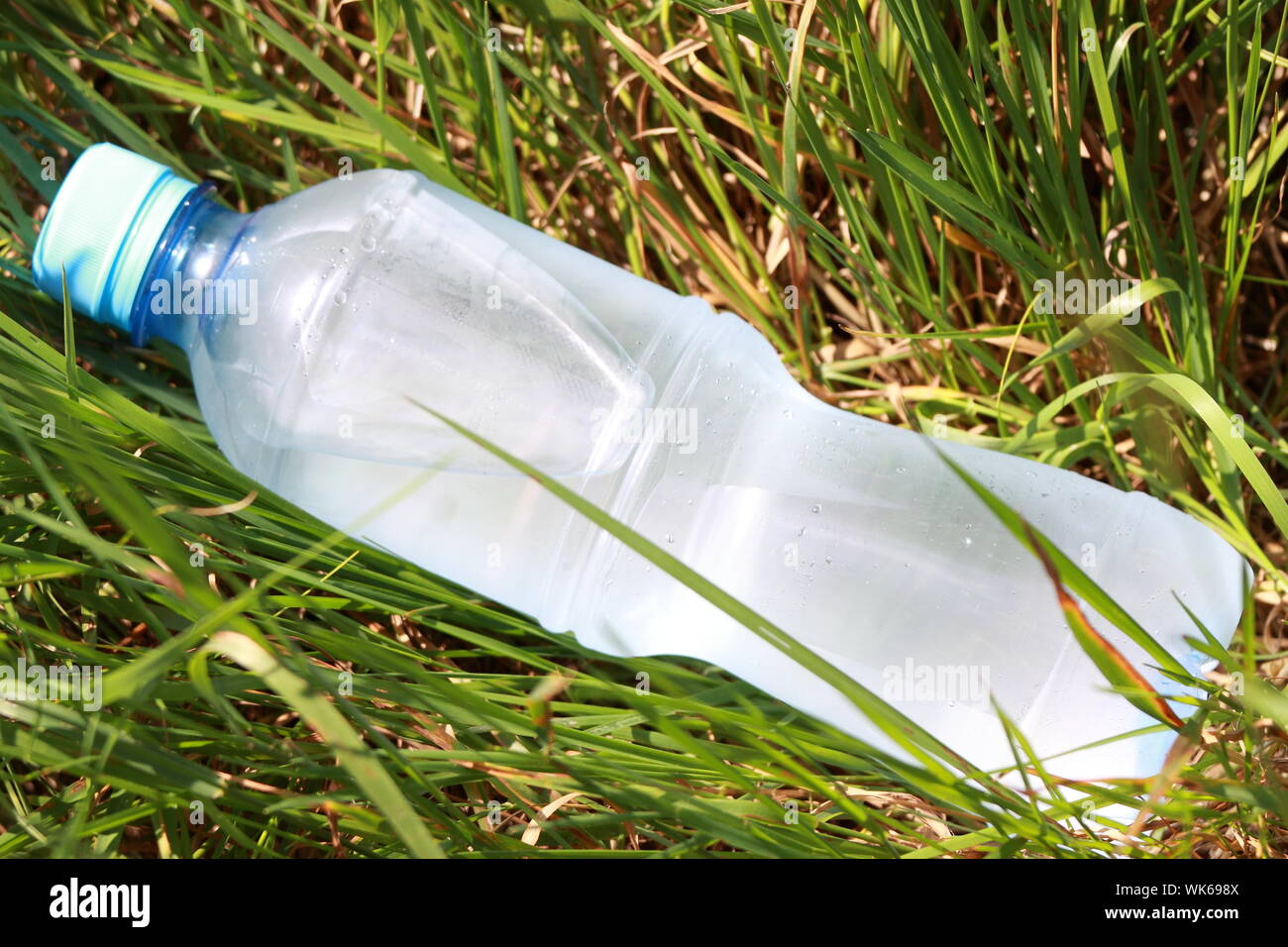 Cold water bottle lays among a grass (natural Stock Photo - Alamy