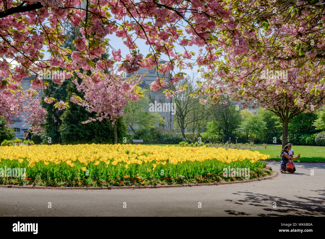 Alexandra Gardens Cathays Park Cardiff Wales Stock Photo