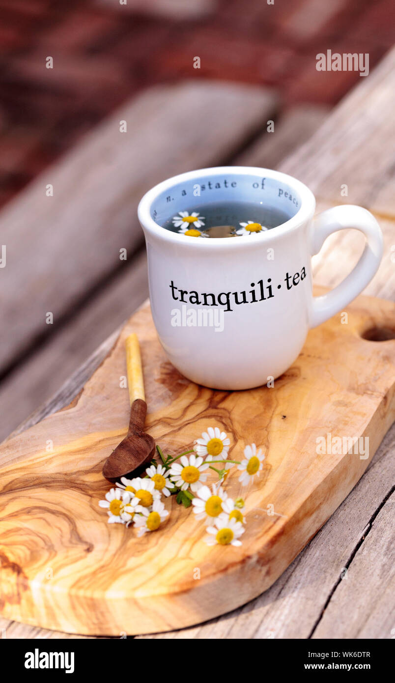 Daisy herbal tea hi-res stock photography and images - Alamy