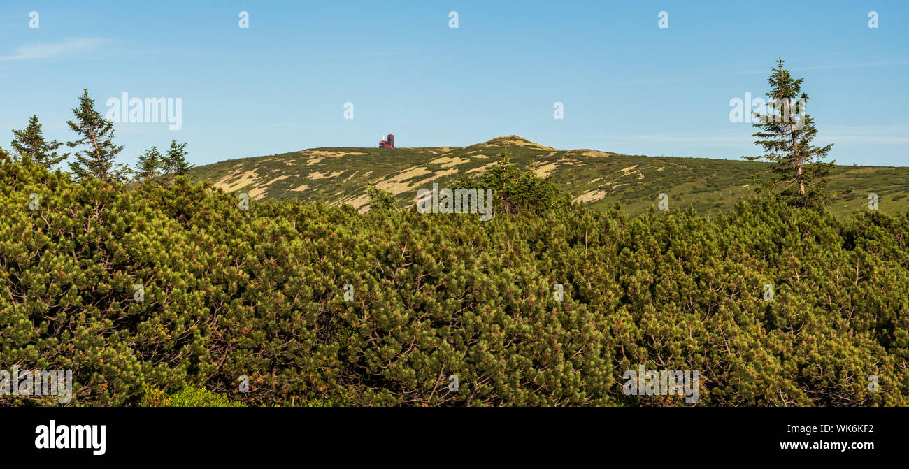 Labsky Szczyt and Sniezne Kotly hills in Karkonosze mountains on polish-czech borders from hiking trail below Szrenica hill during nice summer evening Stock Photo