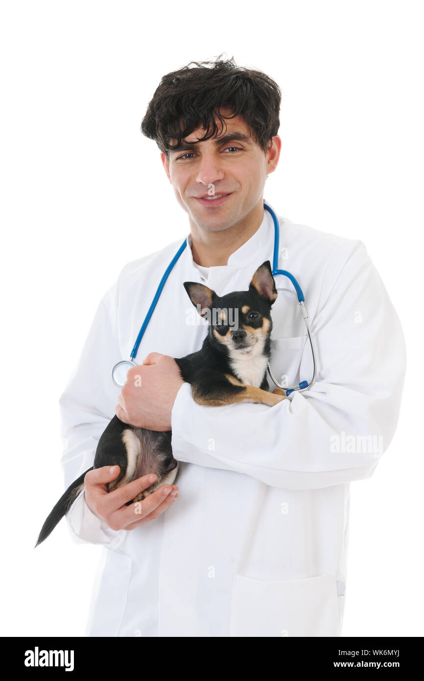 Handsome veterinarian with dog isolated over white background Stock