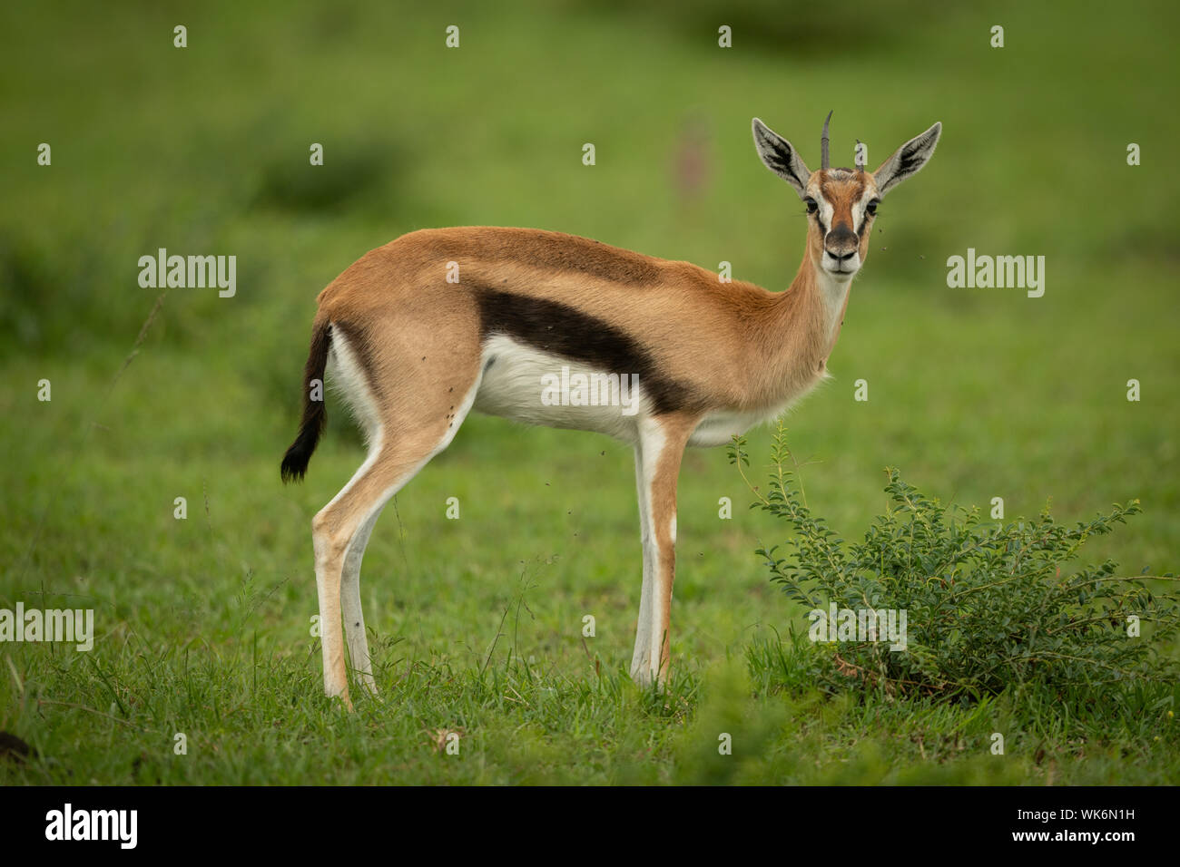 Stands watching camera hi-res stock photography and images - Alamy