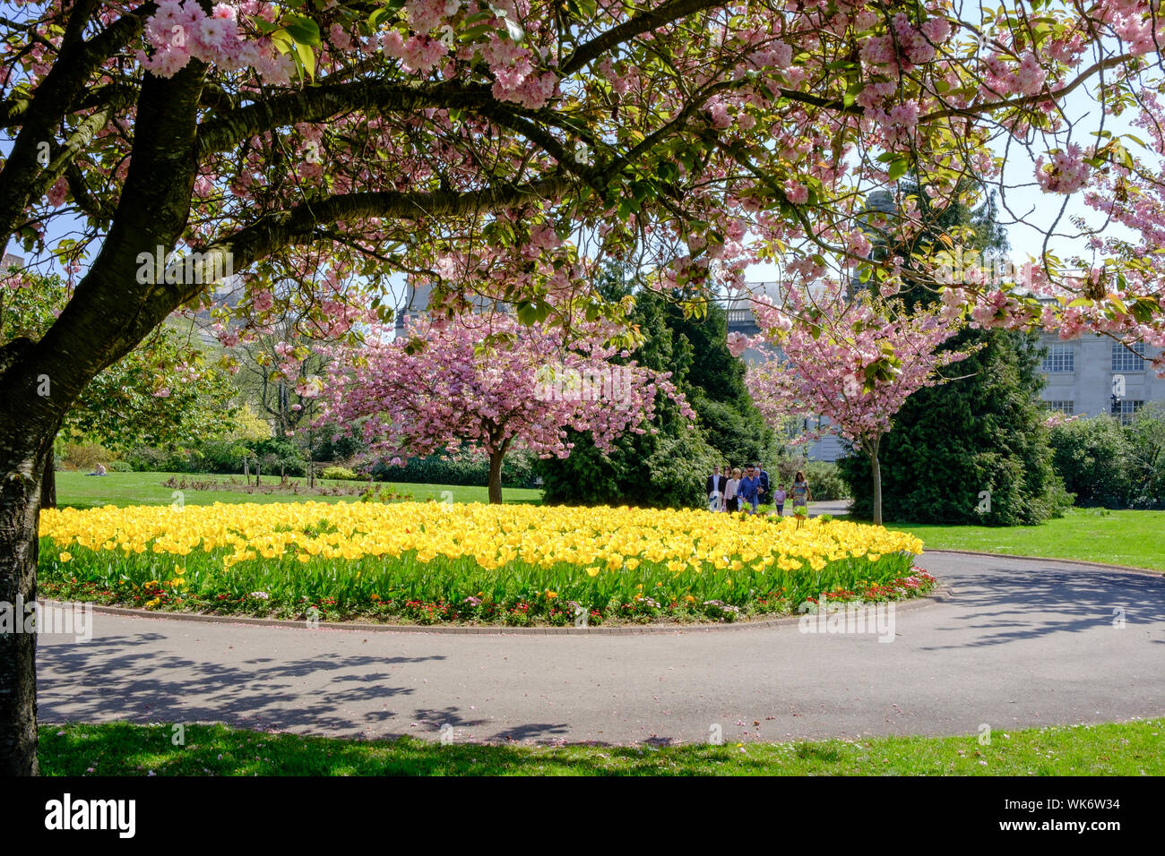 Alexandra Gardens Cathays Park Cardiff Wales Stock Photo Alamy
