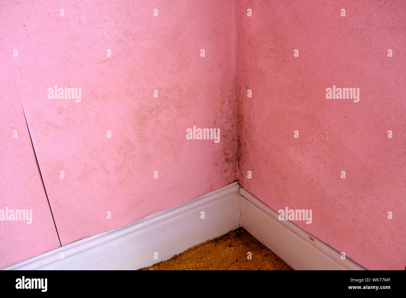 Empty room dirty torn wallpaper Stock Photo